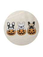 Cozy Sand + Paws Pumpkin Harvest 12 oz scented candle