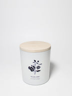 Cozy Tropical Citrus Natural Home 11.5 oz scented candle