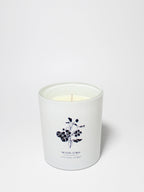 Cozy Tropical Citrus Natural Home 11.5 oz scented candle
