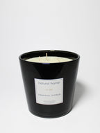 Cozy Tropical Citrus Natural Home 31 oz scented candle
