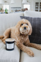 Cozy Sand + Paws Teakwood 21 oz scented candle