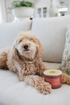 Cozy Sand + Paws Apple Spice 12 oz scented candle