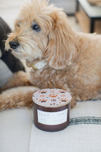 Cozy Sand + Paws Amber & Fig 12 oz scented candle
