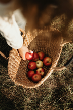 Cozy Apple Picking 12 oz scented candle