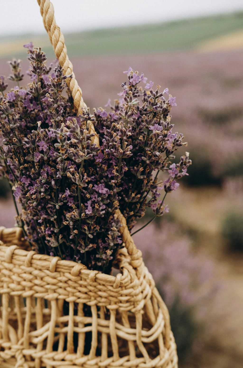 Inviting Cedar & Lavender 110 ml Reed Diffuser