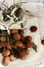 Signature Coconut & Lychee 25.4 oz All-Purpose Spray Cleaner