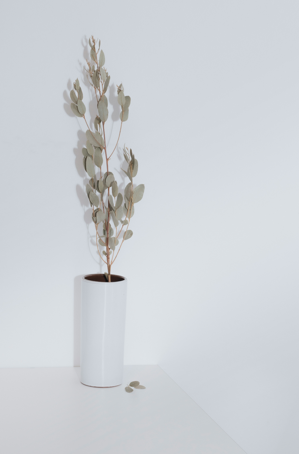 Inviting Eucalyptus Spearmint 100 ml Reed Diffuser