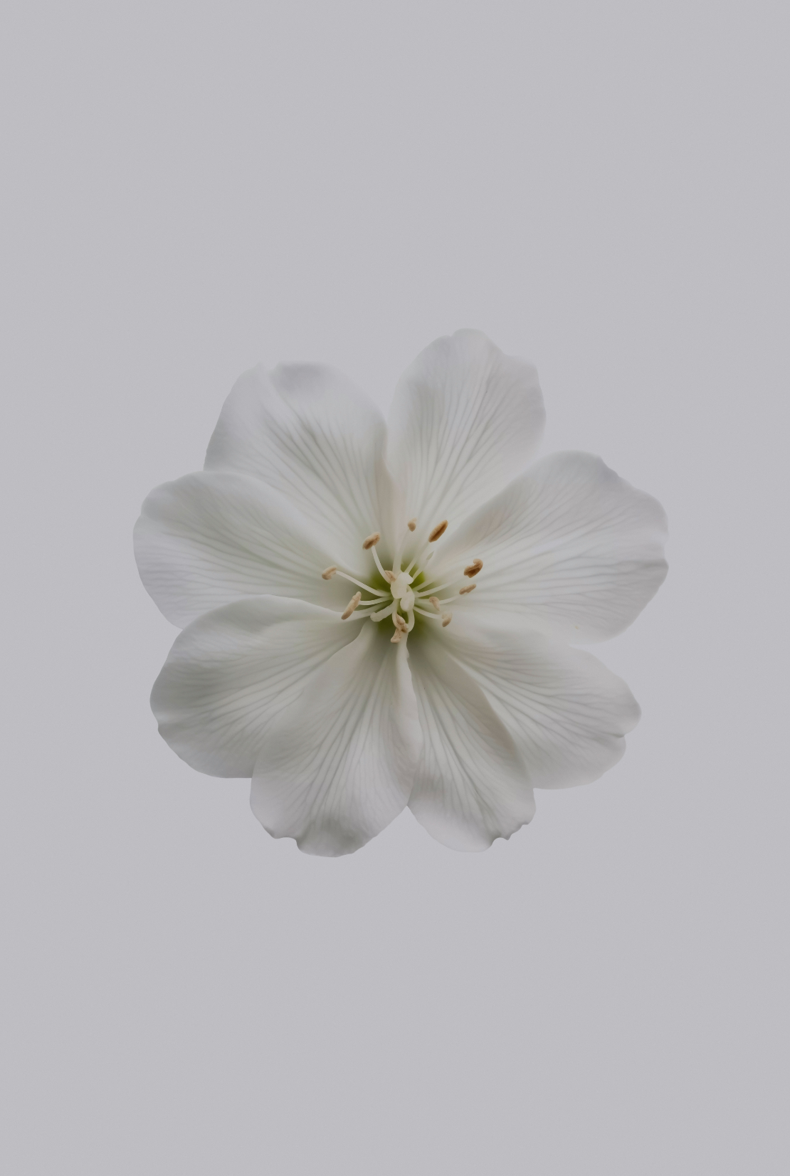 Inviting Fresh Jasmine 180 ml Reed Diffuser