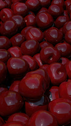 Gentle Cherry Oud 20 oz Liquid Hand Soap
