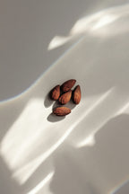 Elegant Vanilla Almond 100 ml Eau de Toilette
